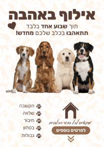 אילוף-באהבה-212x300